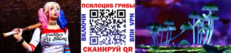 Купить  Северо-Курильск  Псилоцибиновые грибы MAGIC MUSHROOMS 